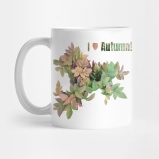 I Love the Fall Season! Mug